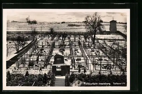 AK Inselsberg, Pelztierfarm, Teilansicht