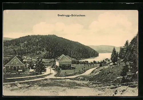 AK Seebrugg /Schluchsee, Uferpartie mit Strasse