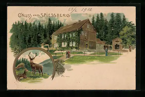 Lithographie Friedrichroda, Spiessberg, Hirsch und Rehe