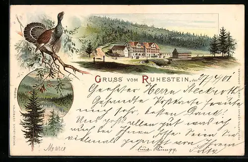 Lithographie Ruhestein, Gasthaus, Ortspartie, Auerhahn