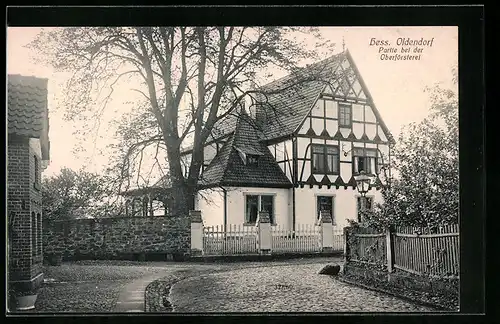 AK Hess. Oldendorf, Partie bei der Oberförsterei