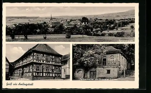 AK Amlingstadt, Brauerei Dötzer, Felsenkeller der Brauerei Dötzer