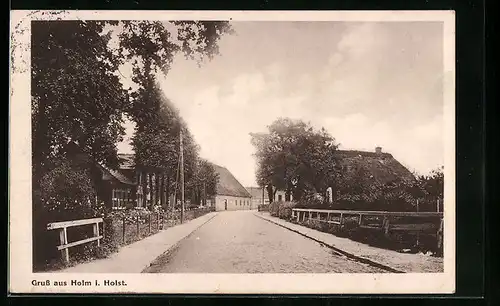 AK Holm i. Holst., Strassenpartie mit Gehöften und Geländer