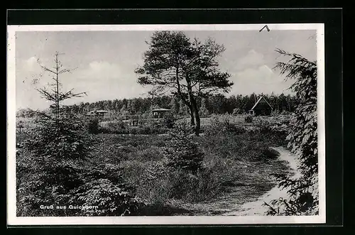 AK Quickborn, Ortspartie mit Häusern und Waldblick