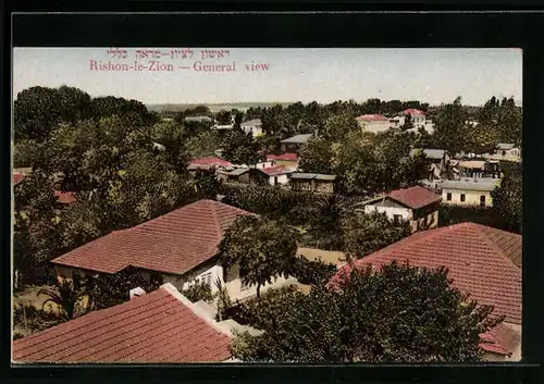 AK Rishon-le-Zion, General view