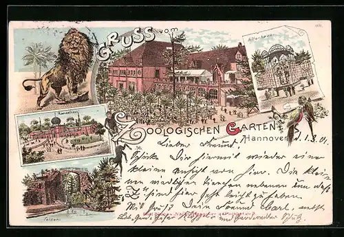 Lithographie Hannover, Felsen, Zoologischer Garten, Löwe, Kamelhaus, Affenhaus, Zoo