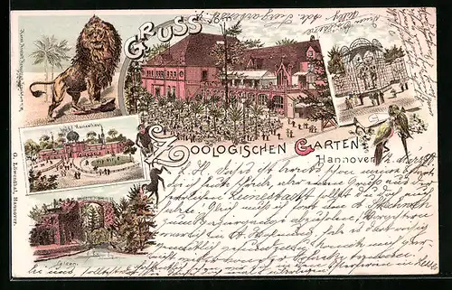 Lithographie Hannover, Zoologischer Garten, Zoo, Löwe, Kamelhaus, Affenhaus