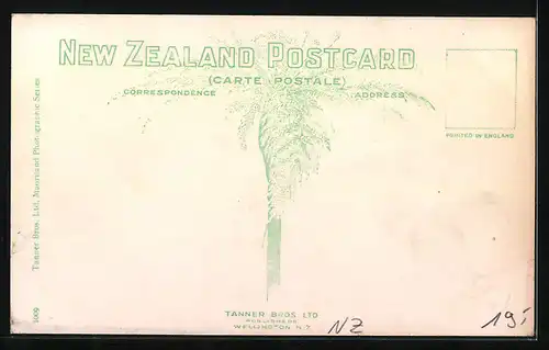 AK Wellington, The Midland Hotel