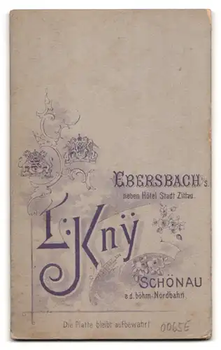 Fotografie L. Kny, Ebersbach i. Sa., junger Kellner Lehrling verschüttet Glas und bekommt Standpauke vom Oberkellner