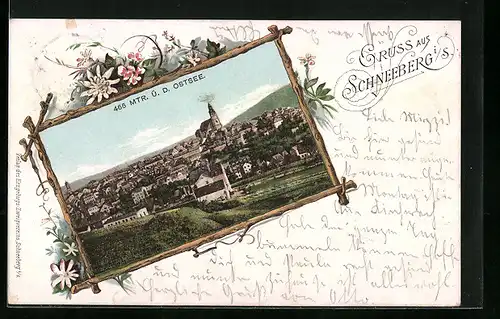 Lithographie Schneeberg i. S., Ortsansicht im Bilderrahmen