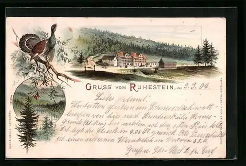 Lithographie Ruhestein /Schwarzwald, Gruss mit dem Wildsee