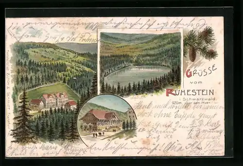 Lithographie Ruhestein /Schwarzwald, Gruss mit dem Wildsee