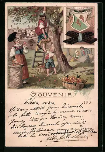 Lithographie Frauenfeld, Ortsansicht hinter Apfelernte in Trachten, Wappen, Reklame für Suchard