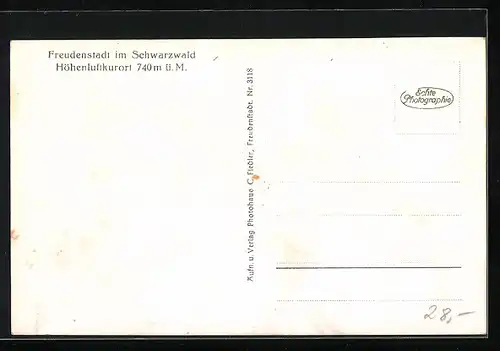 AK Freudenstadt im Schwarzwald, Teilansicht