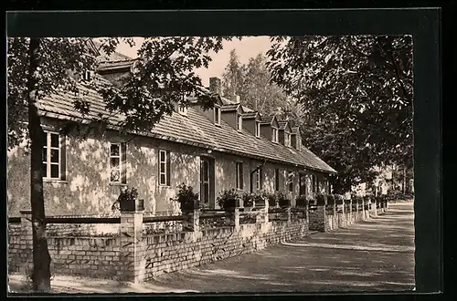 AK Weisswasser /Oberlausitz, Pionierlager Philipp Müller am Braunsteich