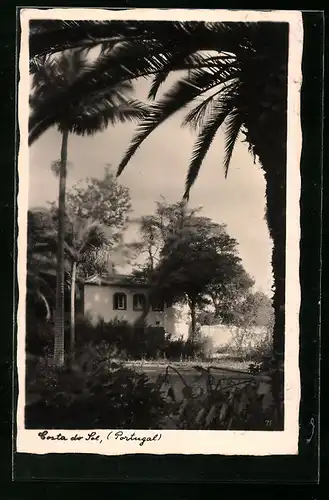 AK Costa do Sol, Palmen mit Häuseransicht