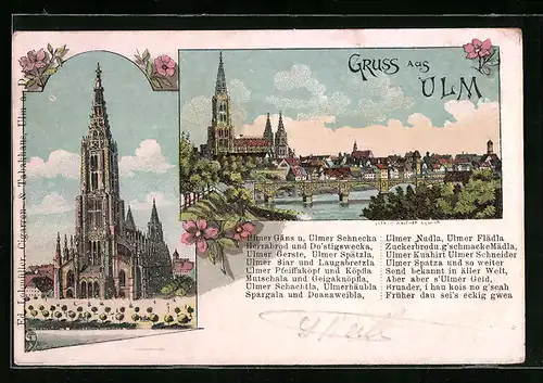 Lithographie Ulm, Münster, Ortsansicht mit Münster