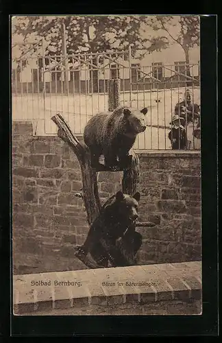 AK Solbad Bernburg, Bären im Bärenzwinger