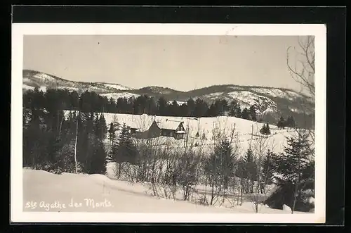 AK Ste. Agathe des Monts, Panorama