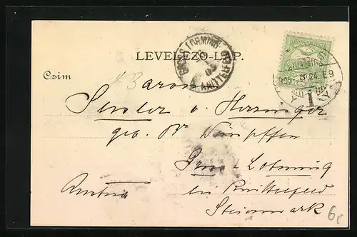 AK Pécs, Pécsi látkép