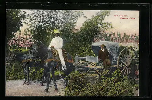 AK Havana, The Volanta
