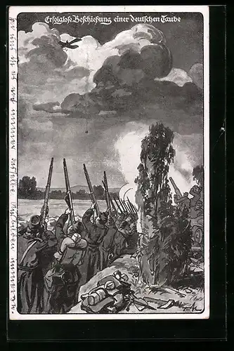 Künstler-AK Erfolglose Beschiessung einer deutschen Taube, Flugzeug