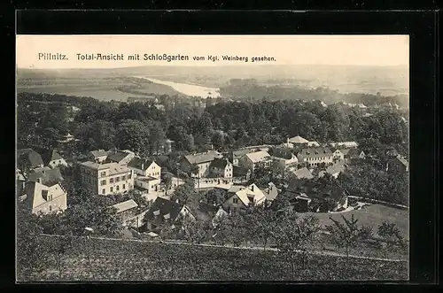 AK Dresden-Pillnitz, Totalansicht mit Schlossgarten vom Kgl. Weinberg gesehen