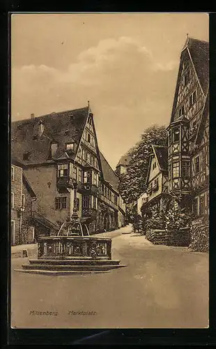 AK Miltenberg, Marktplatz mit Brunnen