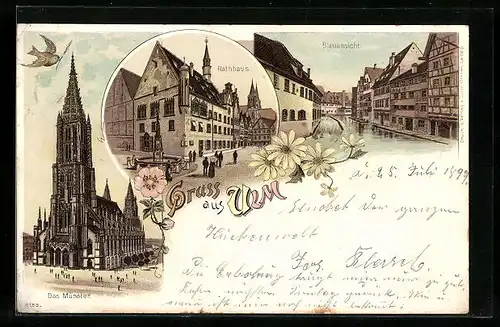 Lithographie Ulm, Das Münster, Rathaus, Blauansicht