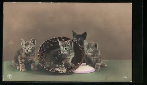 AK Vier Kätzchen und ein Körbchen