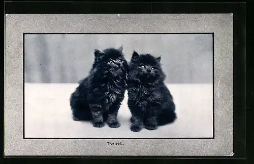 AK Twins, Zwei kleine schwarze Katzen