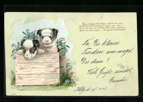Lithographie Zwei Hundewelpen in einer Holzkkiste