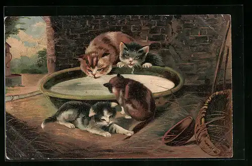 AK Drei kleine Katzen mit grosser Milchschüssel