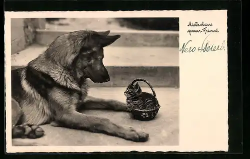 AK Mietzchens grosser Freund, Schäferhund mit Kätzchen