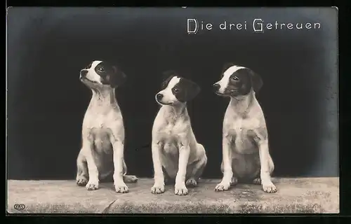 AK Die drei Getreuen, Drei Pinscher