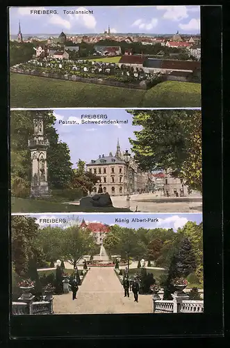 AK Freiberg, Totalansicht, Poststrasse, Schwedendenkmal, König Albert-Park