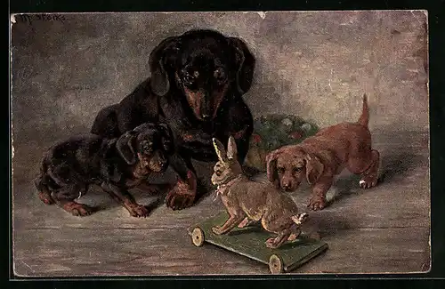 AK Dackel und zwei Welpen beobachten einen Spielzeughasen