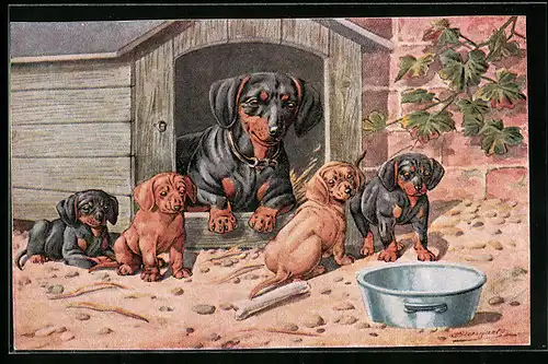 AK Dackelmutter in Hundehütte und ihre vier Welpen