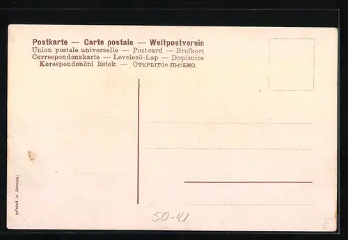 AK Zwei junge Dackel beobachten einen Grashüpfer