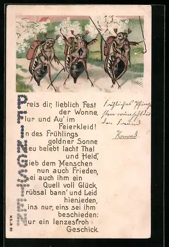 Lithographie Drei Maikäfer auf Wanderschaft unter blühenden Bäumen, Pfingstgruss