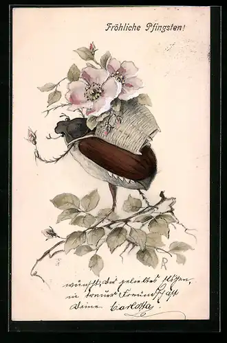 AK Maikäfer mit Blumenkorb auf dem Rücken, Pfingstgruss