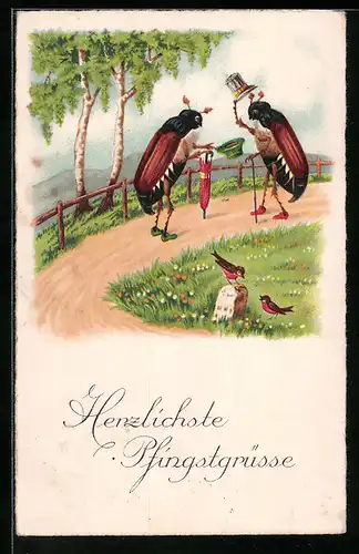 AK Zwei Maikäfer lüpfen ihre Hüte zur Begrüssung, Pfingstgruss