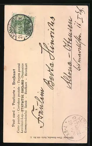 Lithographie Junger Dackel mit Stechpalmenzweigen, Weihnachtsgruss