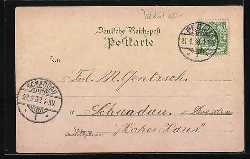 Lithographie Pegau, Rathaus und Laurentius Kirche