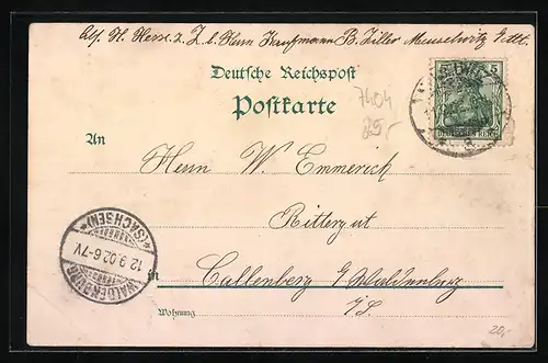 Lithographie Meuselwitz, Totalansicht, Neue Post, Altenburger Bauern