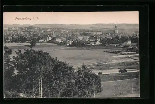 AK Frankenberg i. Sa., Totalansicht