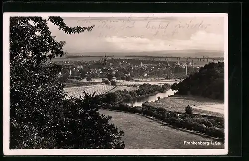 AK Frankenberg / Sa., Totalansicht