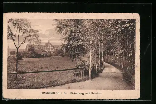 AK Frankenberg i. Sa., Birkenweg und Blick zum Seminar