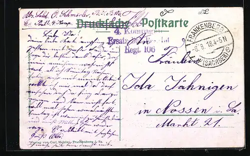 AK Frankenberg / Sa., Totalansicht