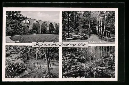 AK Frankenberg i. Sa., Lützeltalbrücke, Naturbühne im Lützeltal, Alt-Frankenberg im Lützeltal